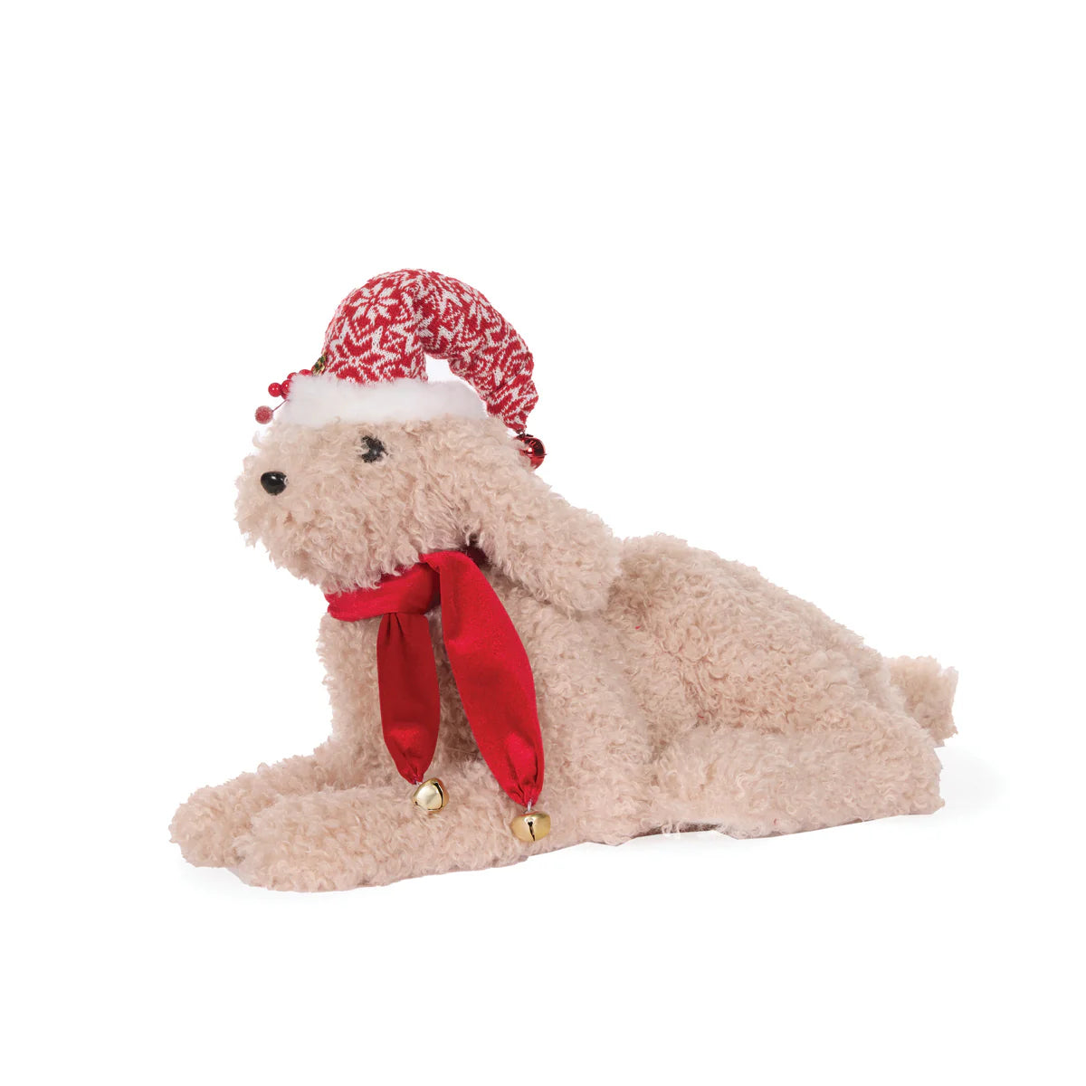 Lying Labradoodle with Scarf