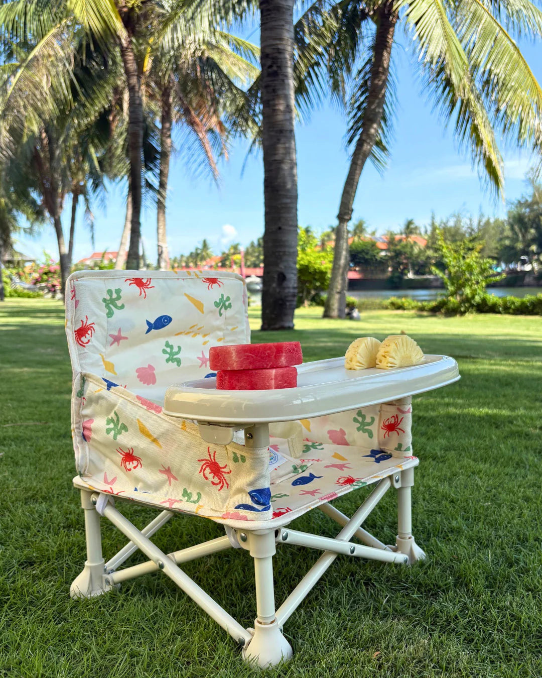 Portable Baby Chair - Rock Pool
