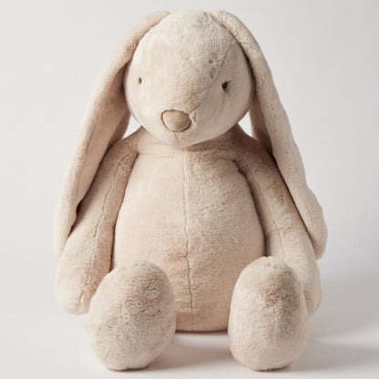 Sugar the Giant Bunny - Coming Back Soon!