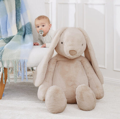 Sugar the Giant Bunny - Coming Back Soon!