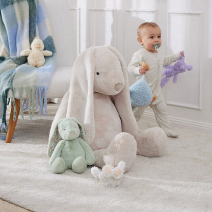 Sugar the Giant Bunny - Coming Back Soon!