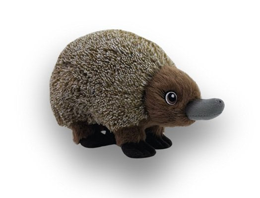 Eco Bub Echidna 18cm