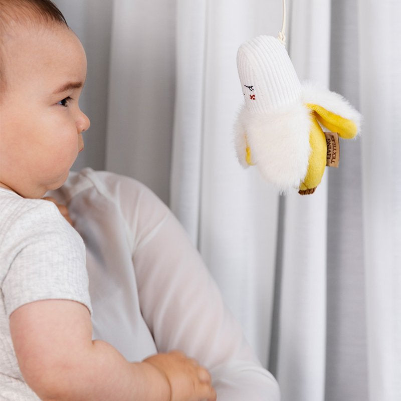Stroller Toys 2pk - Apple & Banana