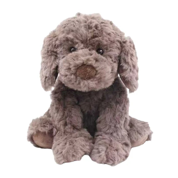 Baxter the Labradoodle