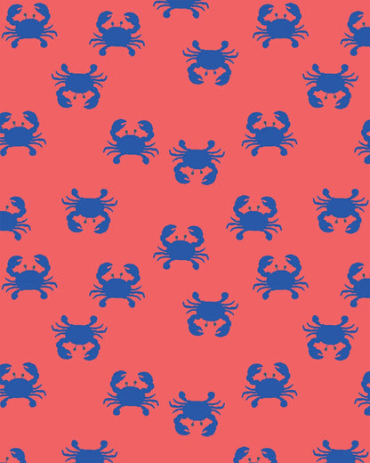 Swim Flap Cap Pirate Mud Crabs