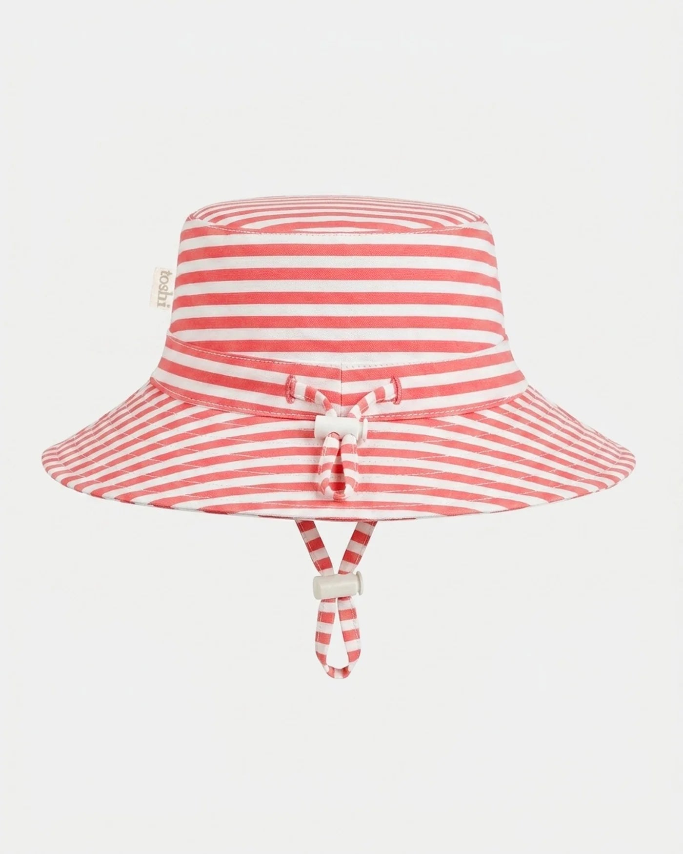 Sunhat Nautilus Lobster
