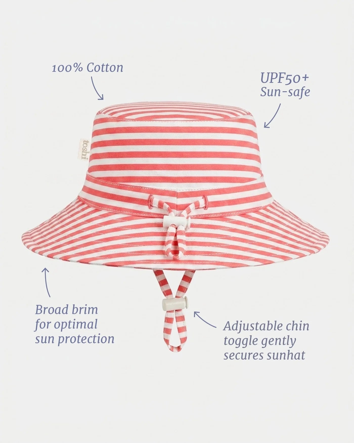 Sunhat Nautilus Lobster