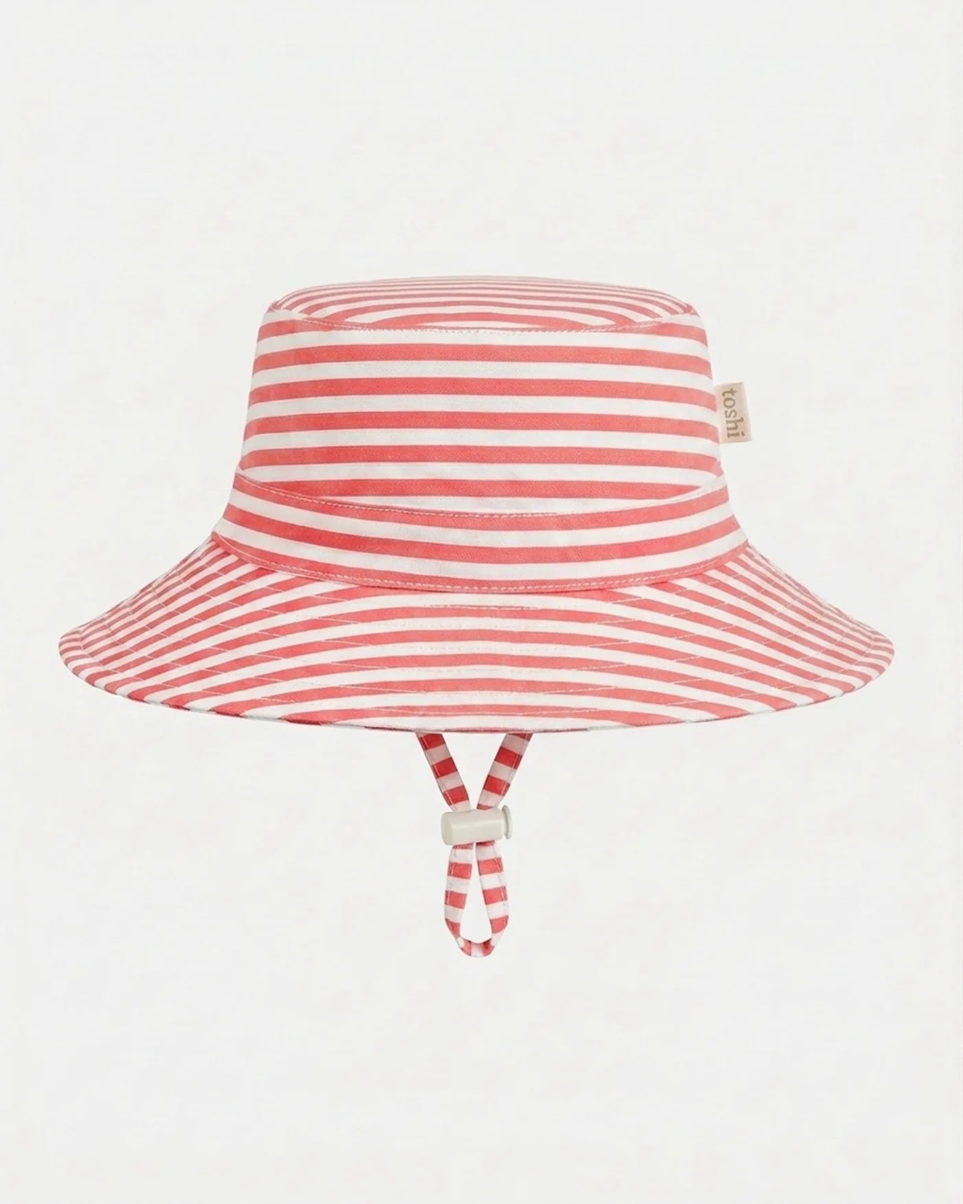 Sunhat Nautilus Lobster