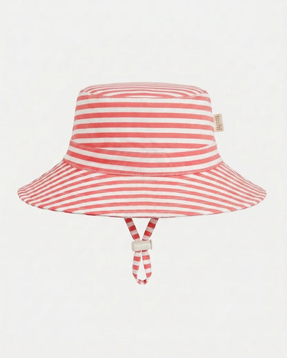 Sunhat Nautilus Lobster