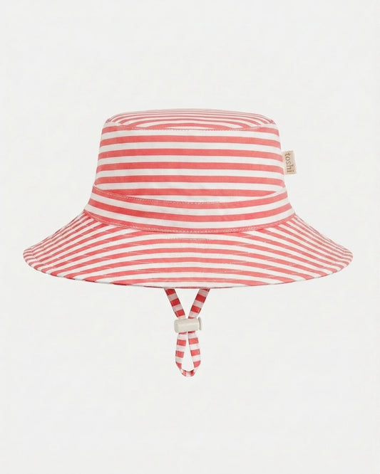 Sunhat Nautilus Lobster