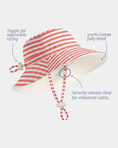 Sunhat Nautilus Lobster