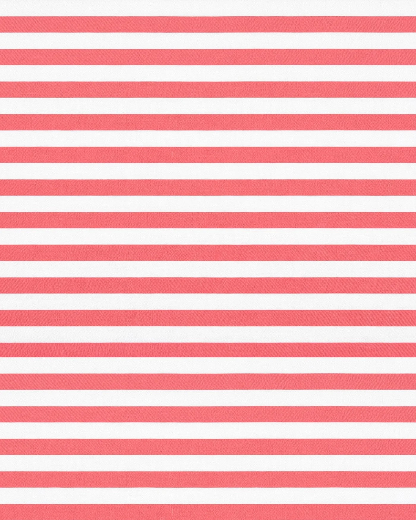 Sunhat Nautilus Lobster