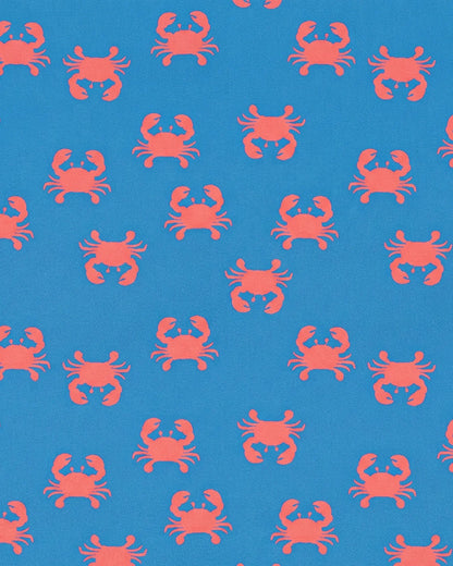 Sunhat Tide Mud Crabs