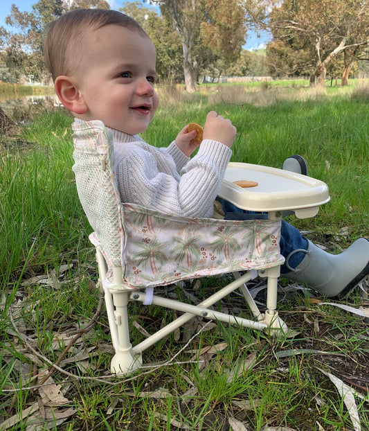 Portable Baby Chair - Desert Palm