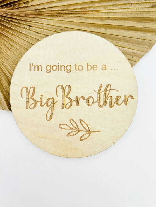 I'm going to be a... Big Brother - Large Disc
