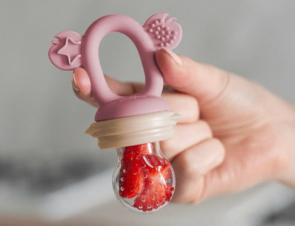 Fresh Food Feeder & Teether
