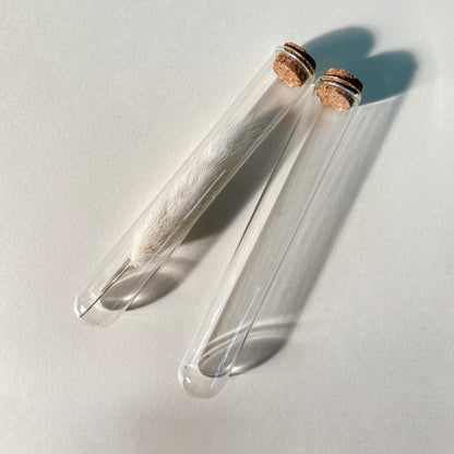 Glass Test Tube Large - 2 Pack