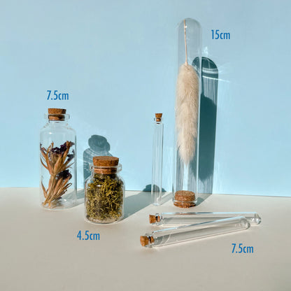 Glass Test Tube Large - 2 Pack