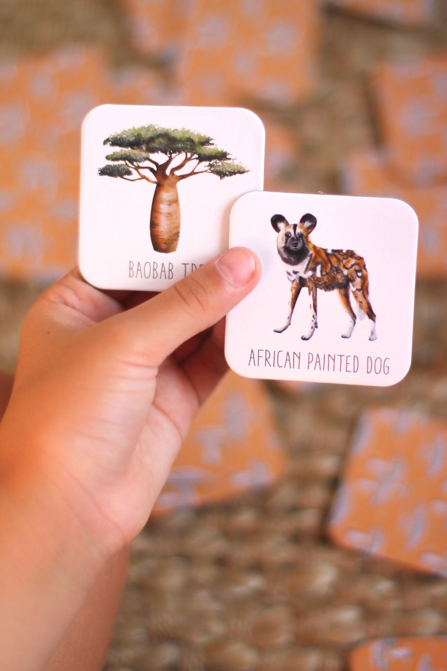 Memory Card Game - Africa