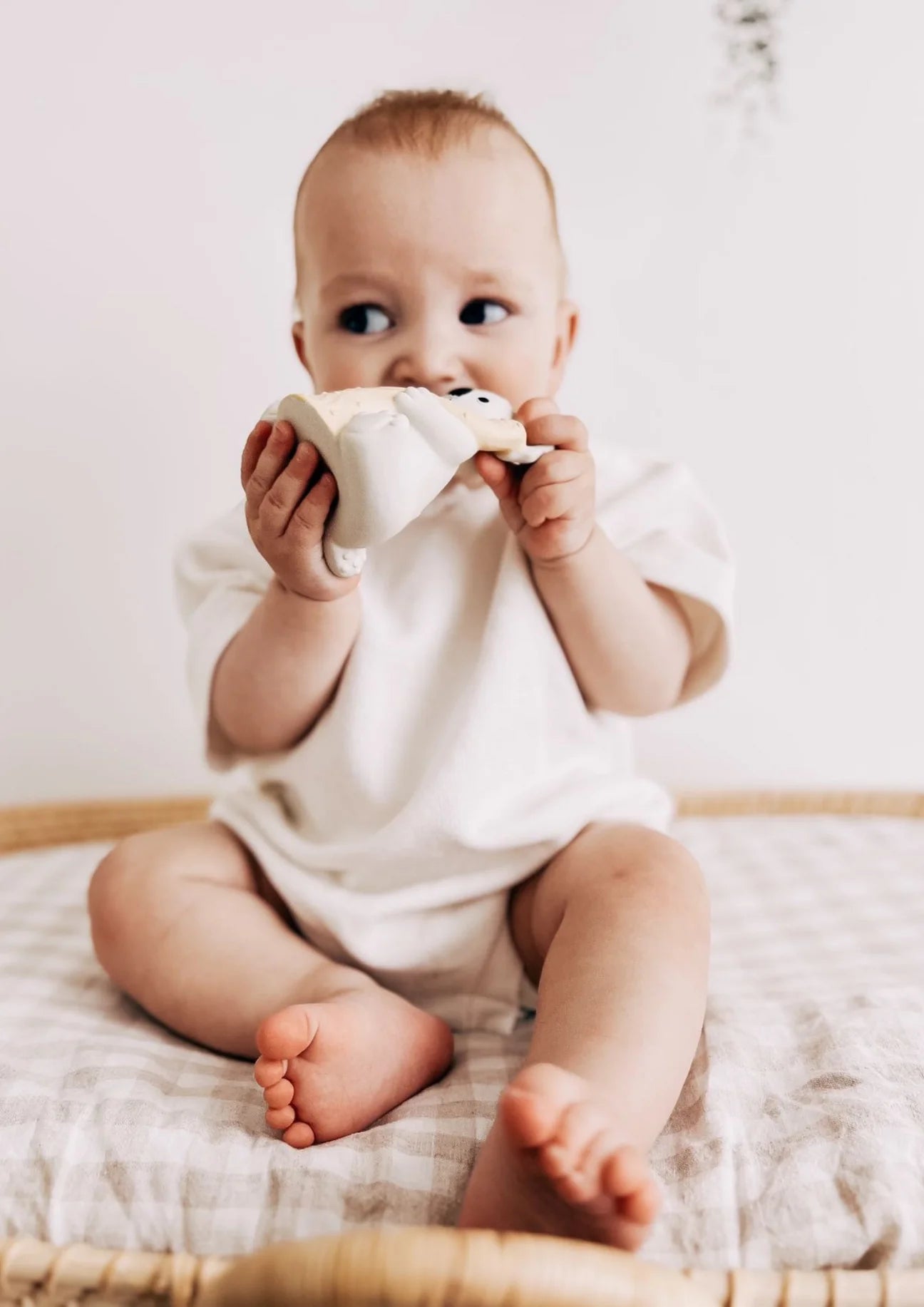 Banks the Koala - Bath Teething Rattle