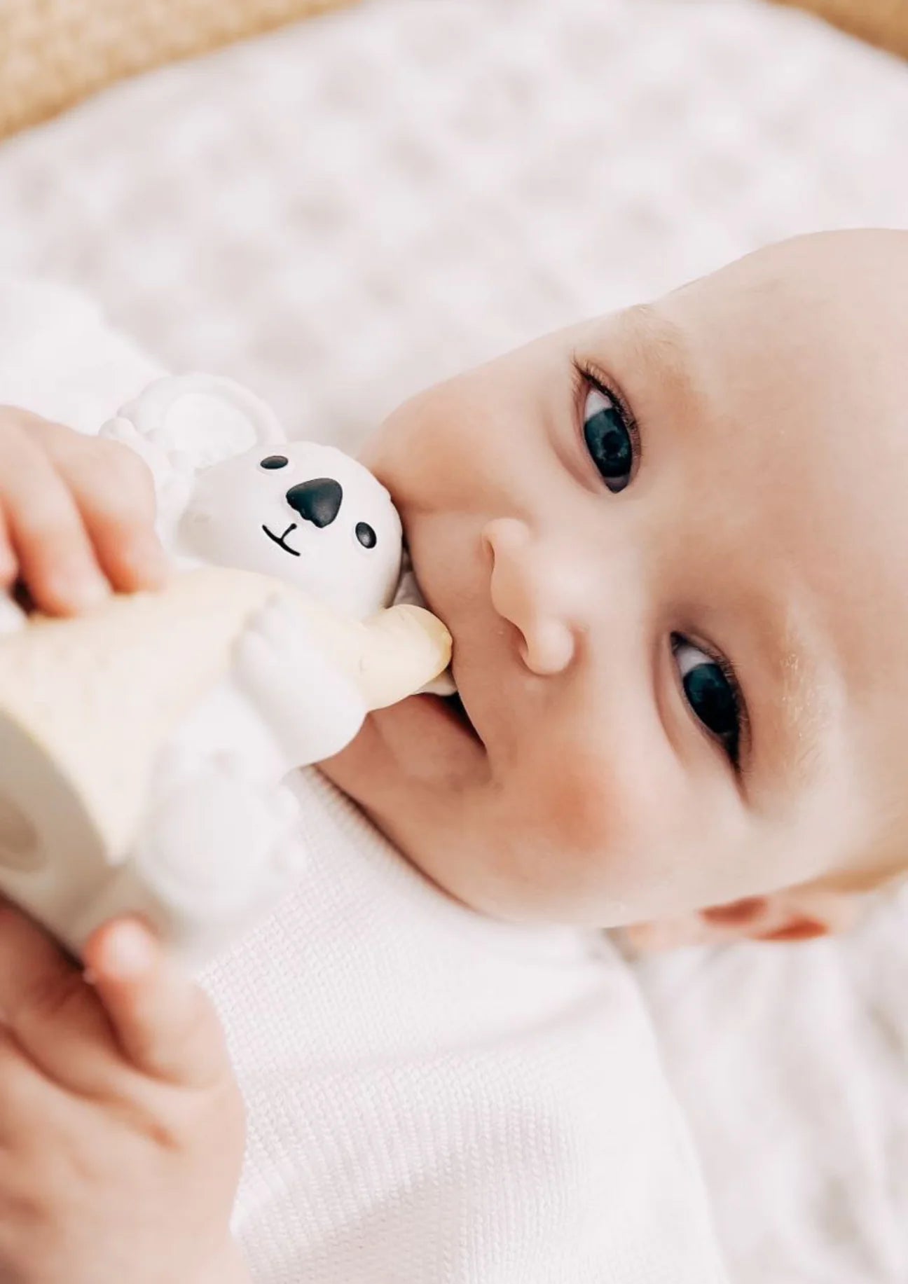 Banks the Koala - Bath Teething Rattle