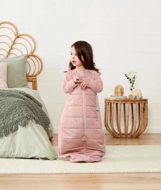 Sleep Suit Bag 2.5 TOG